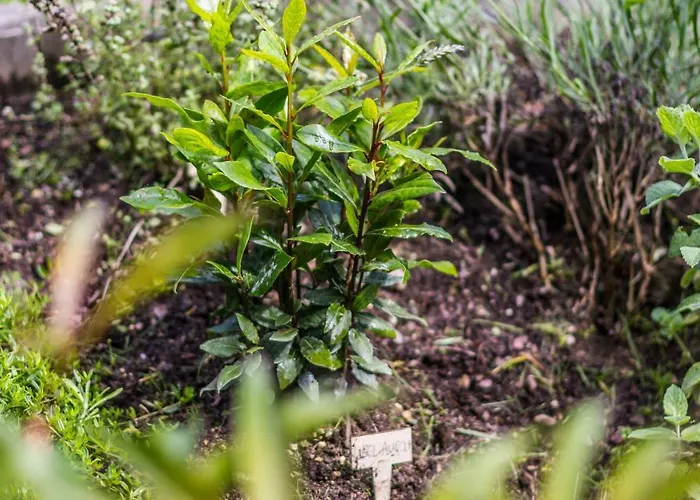 Kaszubski Reset Σπίτι διακοπών